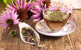 Echinacea Herbal Extract